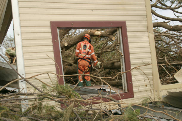 Best Tree Health Inspection  in Siler City, NC